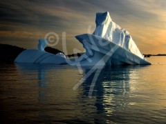 Twillingate Iceberg at Dusk